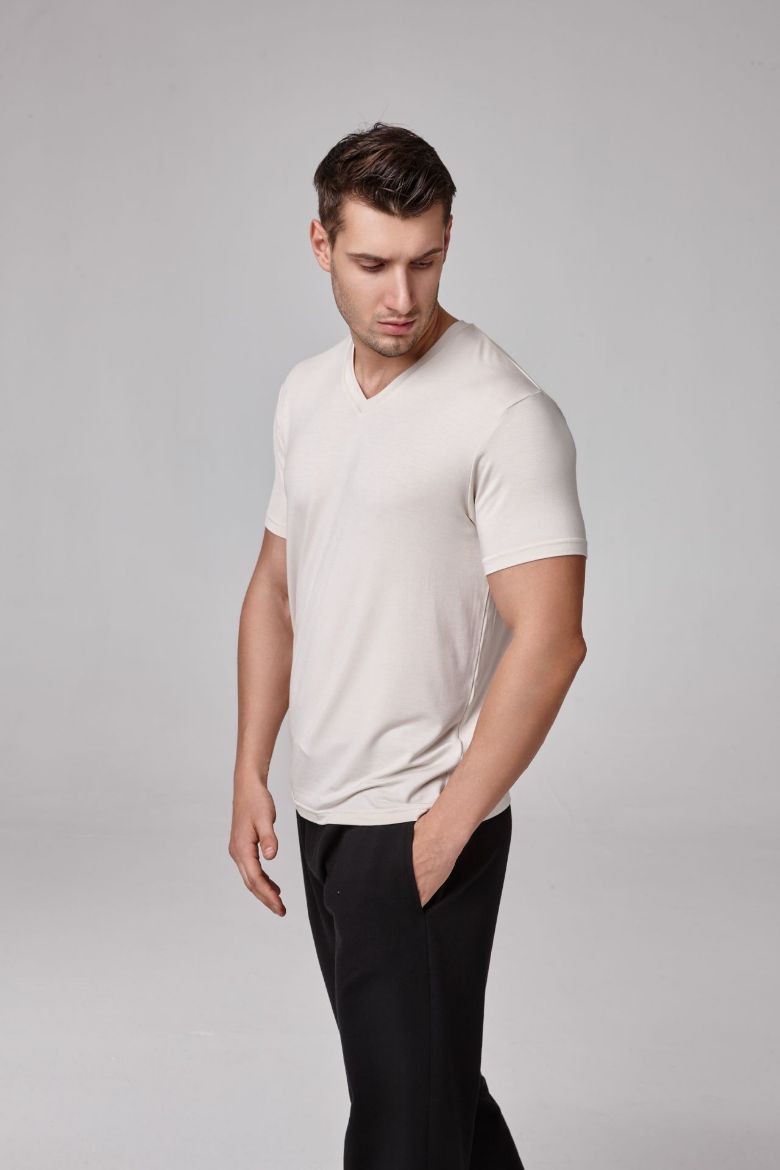 Erkek Kısa Kollu V Yaka T-Shirt  TAŞ P1626TAŞ resmi