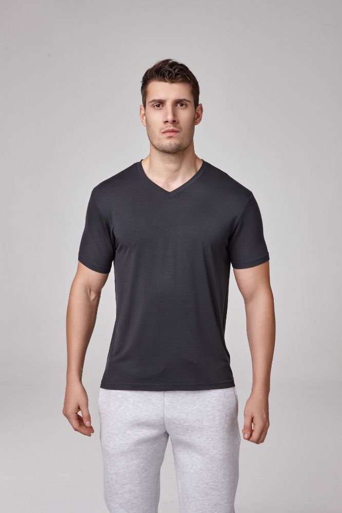 Erkek Kısa Kollu V Yaka T-Shirt  ANTRASİT P1626ANTRASİT resmi